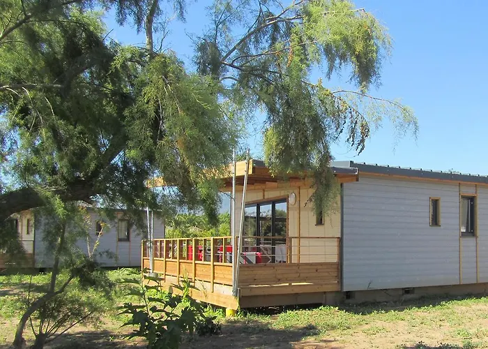 Miami Poggio Mezzana