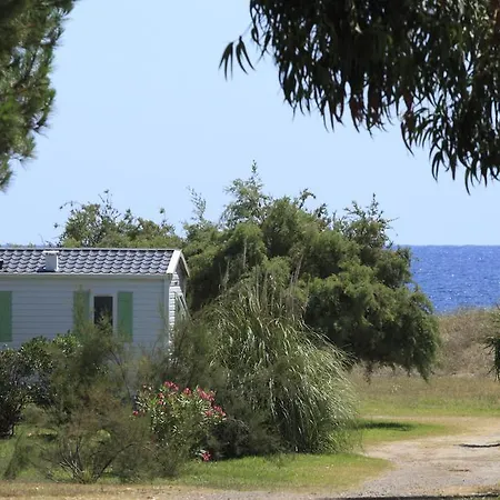 Miami Poggio Mezzana