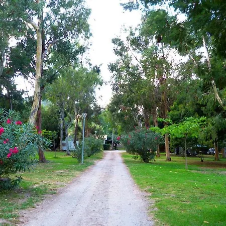 Miami Campingplads Poggio Mezzana