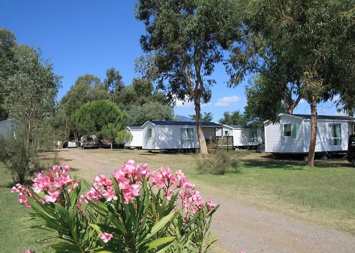 Campingplads Miami *