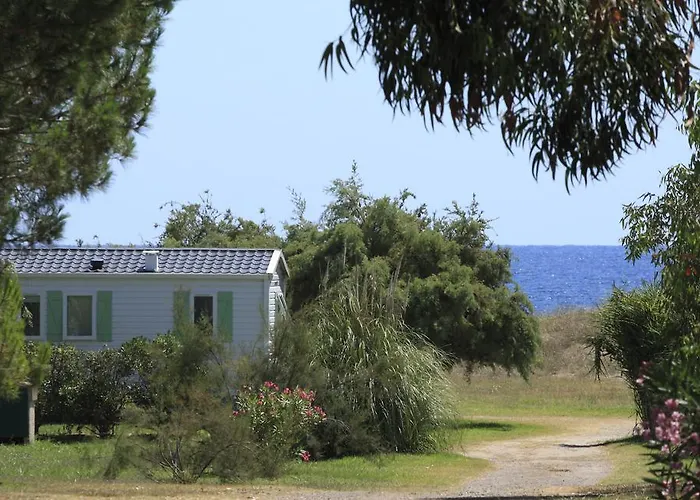 Miami Poggio Mezzana