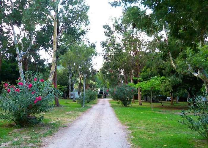 Miami Campingplads Poggio Mezzana